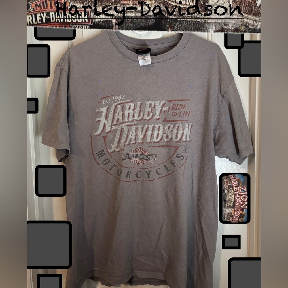 Harley-Davidson Charcoal Men's Tee